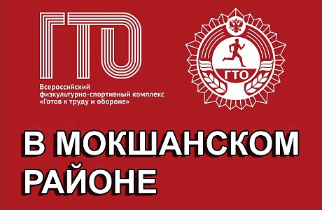 Центром тестирования ГТО Мокшанского района создан аккаунт в социальной сети ВКонтакте.  