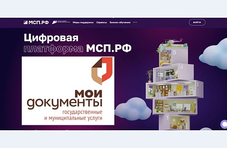 Пенза - в пятерке лидеров по количеству оказанных услуг Корпорации МСП через МФЦ