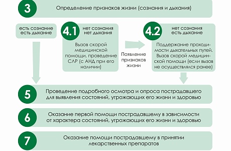 Порядок оказания первой помощи: памятки для инструктажей