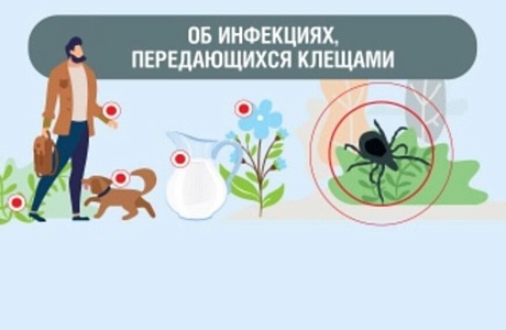 Информация о состоянии профилактики инфекций,  передающихся клещами на 10.08.2023 г.