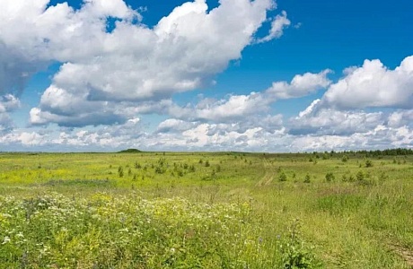 Краеведческая среда