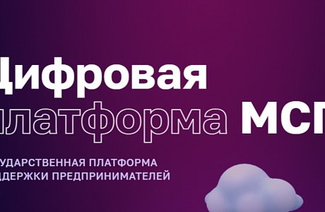 Субсидии и гранты федеральных министерств стали доступны на МСП.РФ Субсидии и гранты федеральных министерств стали доступны на МСП.РФ