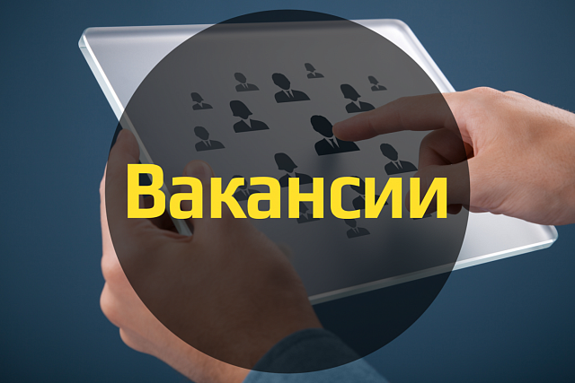 Внимание безработных граждан! Внимание безработных граждан!