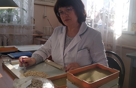 Пензенский Россельхозцентр завершает проверку семенного материала для ярового сева-2024 Пензенский Россельхозцентр завершает проверку семенного материала для ярового сева-2024