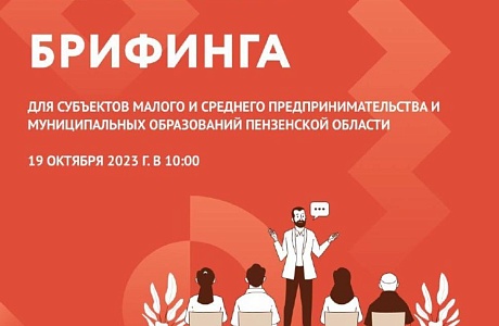 Брифинг для субъектов МСП и муниципальных образований Пензенской области