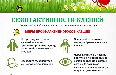 Сезон активности клещей открыт Сезон активности клещей открыт