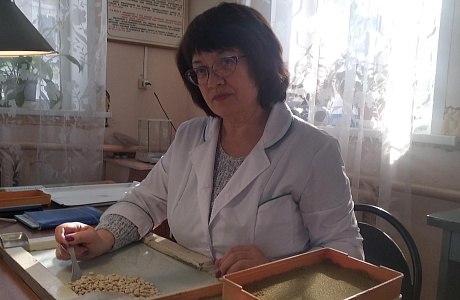 Пензенский Россельхозцентр подвел итоги работы в сфере семеноводства за 2025 год