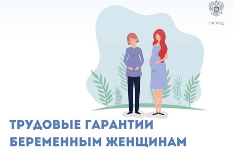 Особенности регулирования труда беременных женщин Особенности регулирования труда беременных женщин