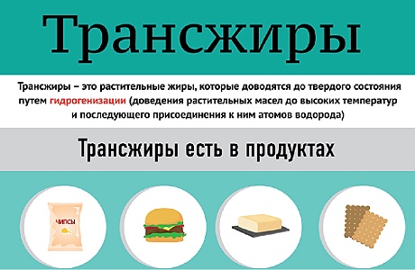Трансжиры. Трансжиры.