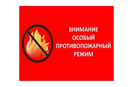 В Пензенской области введен особый противопожарный режим