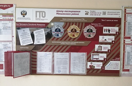 Центр тестирования Мокшанского района по организации выполнения нормативов комплекса ГТО 