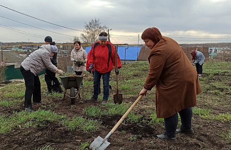 Благоустройство территории