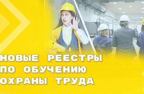 Какую информацию работодатель включает в реестр Минтруда? Какую информацию работодатель включает в реестр Минтруда?
