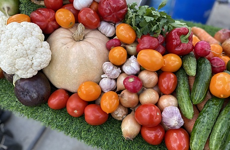 27 и 28 сентября в Пензе пройдет осенняя ярмарка продукции местных товаропроизводителей 27 и 28 сентября в Пензе пройдет осенняя ярмарка продукции местных товаропроизводителей