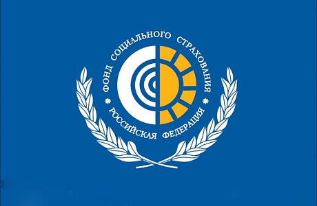 Использование средств Фонда социального страхования Использование средств Фонда социального страхования