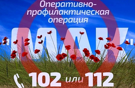 Проведение оперативно-профилактической операции «Мак-2020»