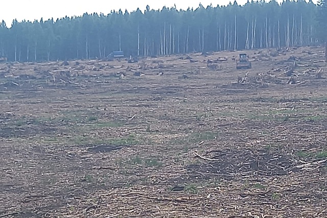 Начальник отдела по развитию сельского хозяйства и предпринимательства администрации Мокшанского района Валерий Долженков посетил земли АО «Областной агропромышленный холдинг» Начальник отдела по развитию сельского хозяйства и предпринимательства администрации Мокшанского района Валерий Долженков посетил земли АО «Областной агропромышленный холдинг»