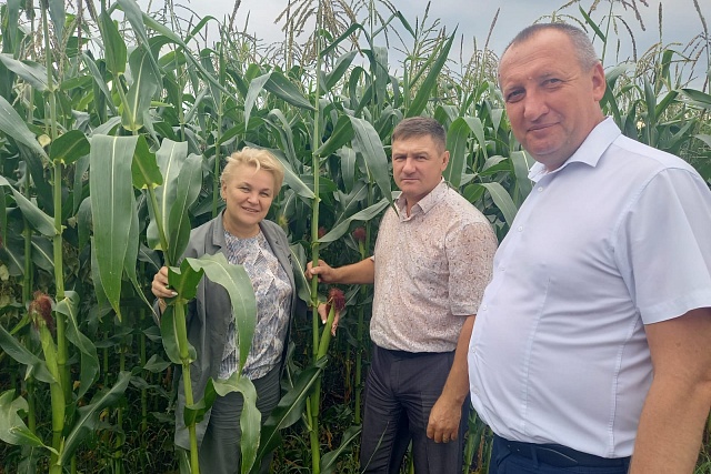 Глава Мокшанского района Алевтина Решетченко посетила ОП Учхоз «Рамзай» Пензенского ГАУ Глава Мокшанского района Алевтина Решетченко посетила ОП Учхоз «Рамзай» Пензенского ГАУ