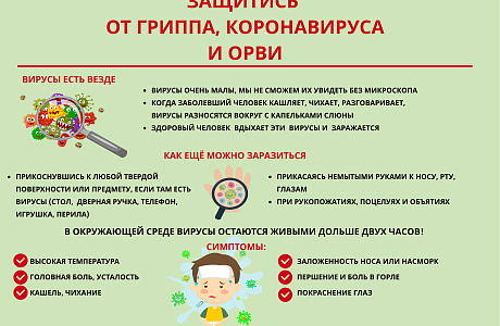 Правила защиты от гриппа, коронавируса и ОРВИ Правила защиты от гриппа, коронавируса и ОРВИ