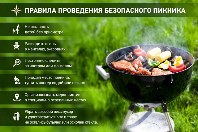 Правила пожарной безопасности во время отдыха на природе Правила пожарной безопасности во время отдыха на природе